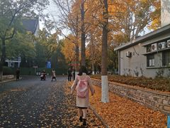 -山东大学(趵突泉校区)