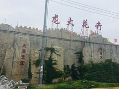 -龙大花卉苗木市场