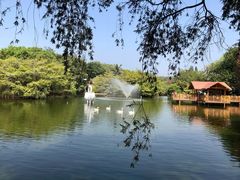 -深圳野生动物园