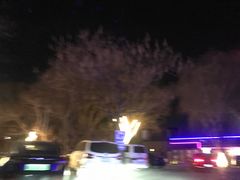 -枫花园汽车电影院(朝阳公园店)