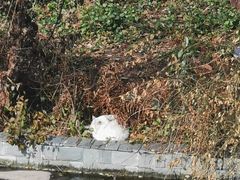 -黄浦江游览(十六铺码头)