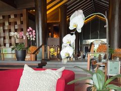 -时光吧·大堂吧·丽江和府洲际度假酒店