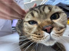 -全心全意连锁动物医院·特色中医诊疗(会城门分院)