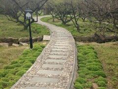 -白马涧龙池景区