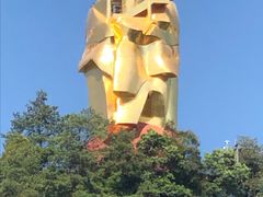 -南山植物园