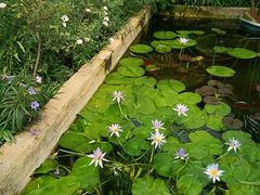 -国家植物园南园