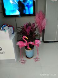 -E.beauty驻颜·痘敏肌调理中心