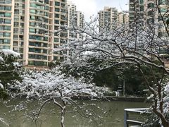 -苏州河梦清园环保主题公园