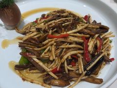 -丁老爷子苏香圆