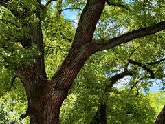 -湖北美术学院(昙华林校区)