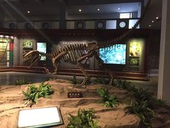 -自贡恐龙博物馆