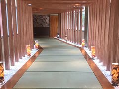 -重庆南山海昌汤都