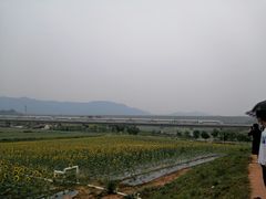 -光明小镇欢乐田园