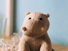 -琥珀川咖啡馆·Amber cafe(百祥路店)