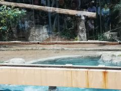 -清迈夜间动物园