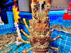 -汕头龙光喜来登酒店-采悦轩中餐厅