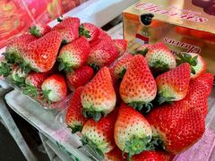 -江杨农产品批发市场