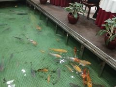 -金河半岛园林酒家(金融城店)