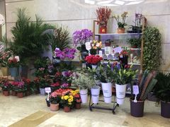 -紫荆广场·花漫里