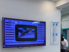-北京观赏动物医院·24小时大型综合·猫专科·异宠专科