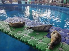-海合安武汉极地海洋公园