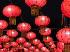 -燕郊植物园