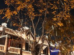 -天津五大道文化旅游区