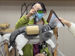 -瑞鹏宠物医院·眼科·皮肤·中兽医(大悦城分院)