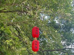 -石台牯牛降景区
