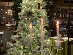 -一棵树·意大利西餐厅One Tree(新城店)