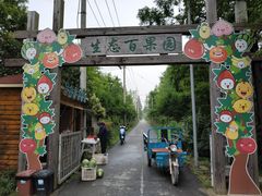 -上海长兴岛郊野公园