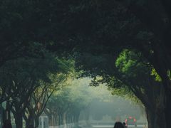 -四川大学(望江校区)