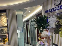 -泰康拜博口腔(世博园乐尔店)