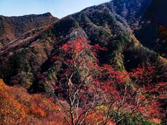 -光雾山旅游景区