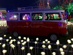 -天王浮山樱花园