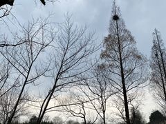 -天禄堂西溪庄园