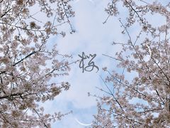-西北湖绿化广场