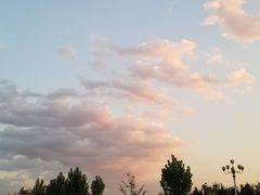 -八婆婆烧仙草(曾厝垵店)