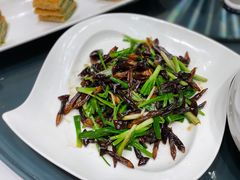 葱爆鸡枞菌-民国红公馆·秦淮八艳(夫子庙店)