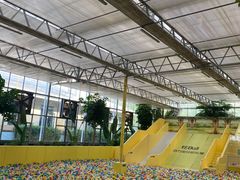 -南宫五洲植物乐园