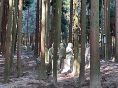 -武陵山森林公园