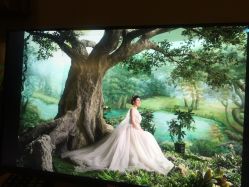 -保定金沙芝柏婚礼策划
