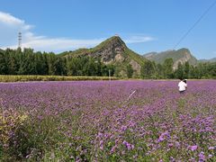 -百里山水画廊