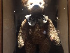 -济州岛泰迪熊博物馆