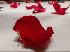 -WANG STEAK 王品(杭州万象城店)