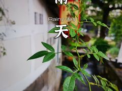 -磁器口古镇