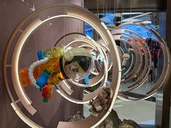 -泡泡玛特POPMART(壹号店)