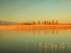 -野鸭湖国家湿地公园
