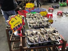 -蚝专家(北滘店)