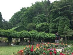 -庐山风景区花径公园
